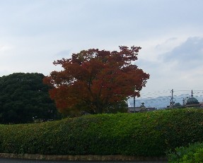 d0007913_15293733.jpg