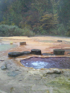 f0031013_1471292.jpg
