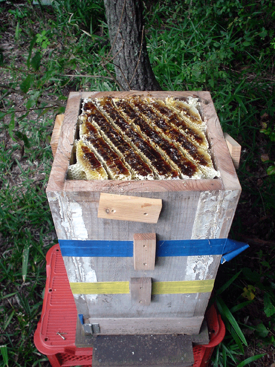 f0061013_758402.gif