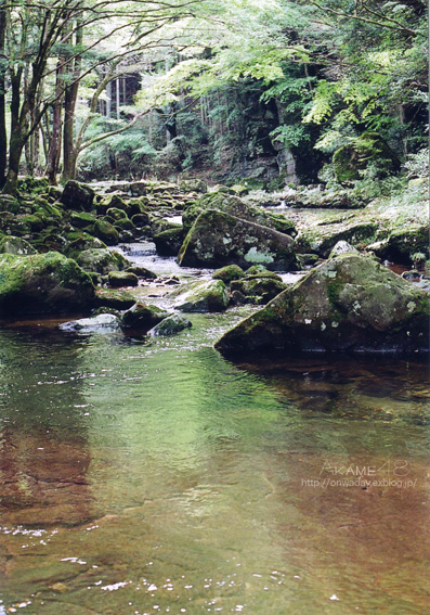 e0146919_12215959.jpg
