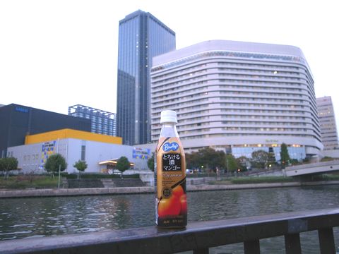 f0100920_23395962.jpg