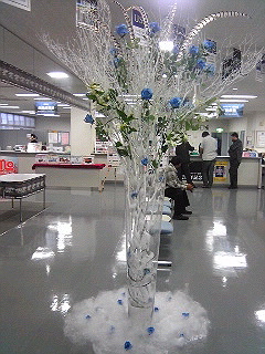 a0052621_19264168.jpg