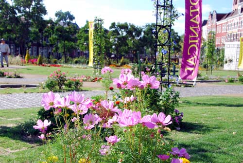 c0059521_2303081.jpg