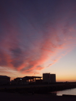c0025422_1531899.jpg
