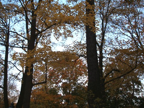 e0047322_1946886.jpg