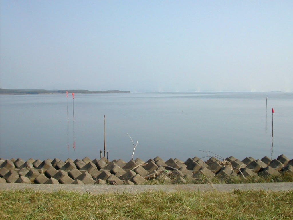a0102824_23195093.jpg