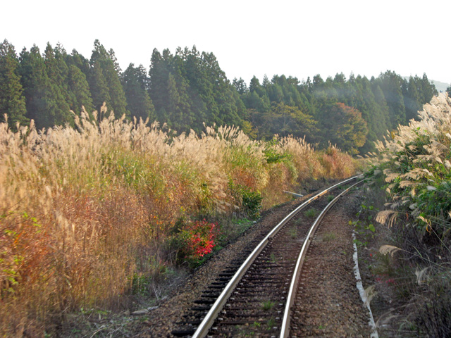 c0019930_14344077.jpg