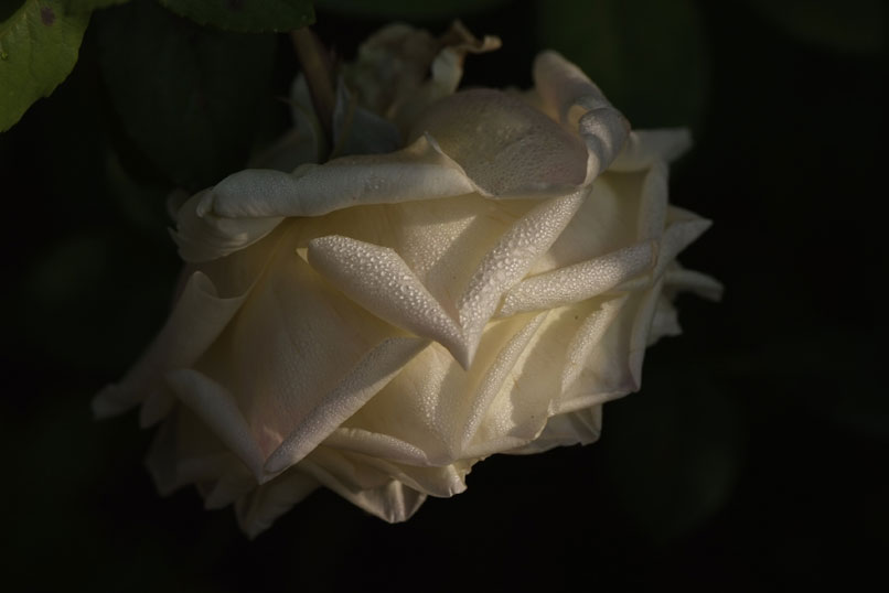 b0075541_21175245.jpg