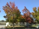 c0164041_6253678.jpg