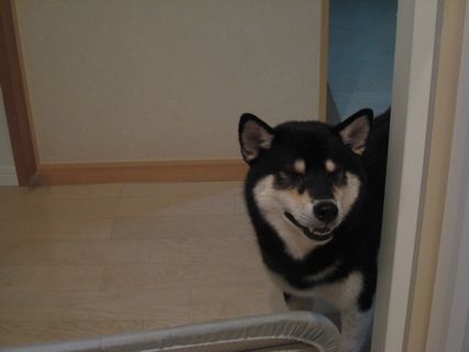 f0058241_19105251.jpg