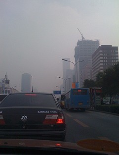 d0052243_1139467.jpg