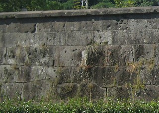 d0031853_151197.jpg
