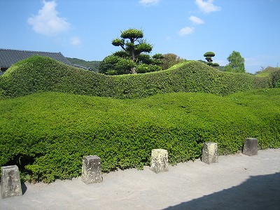 d0031853_6421647.jpg