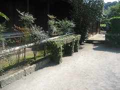 d0031853_6442381.jpg