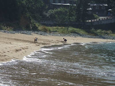 c0097558_1044149.jpg
