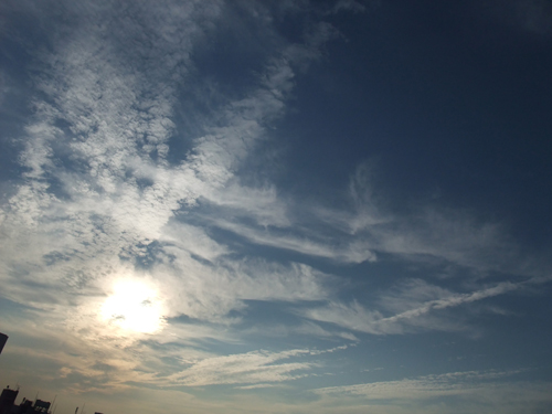 e0076761_103560.jpg