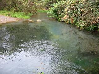 f0150364_20234458.jpg