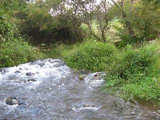 f0150364_20251436.jpg