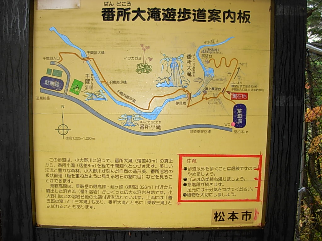 d0048366_10494279.jpg