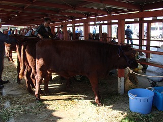 f0127866_2104871.jpg