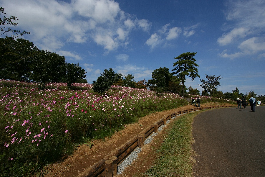 b0084270_854153.jpg