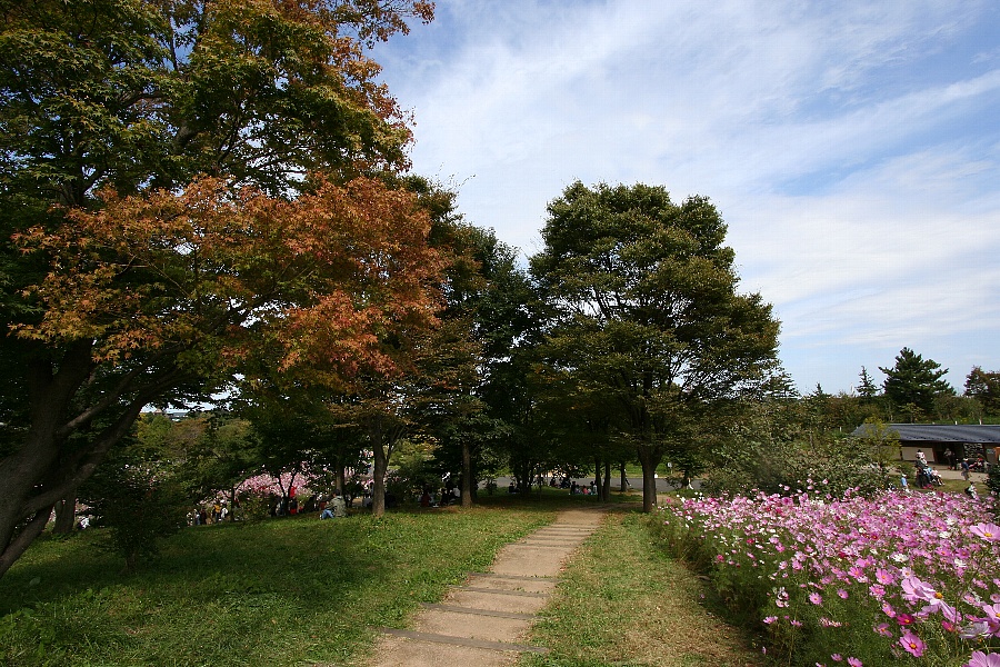b0084270_892932.jpg