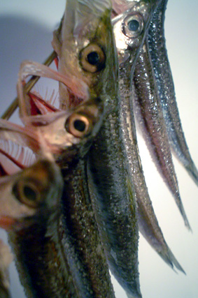 f0056476_10531010.jpg
