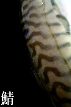f0056476_223552100.jpg