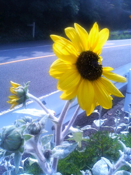 f0054677_9205366.jpg
