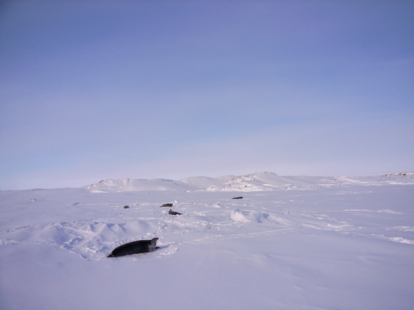 a0053783_3595551.jpg