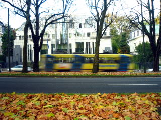 f0060585_19464557.jpg