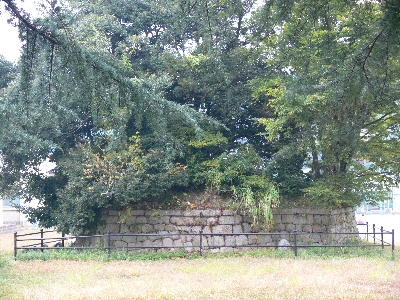 f0103688_1438912.jpg