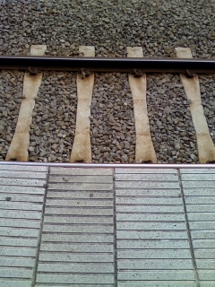 e0148989_2484129.jpg