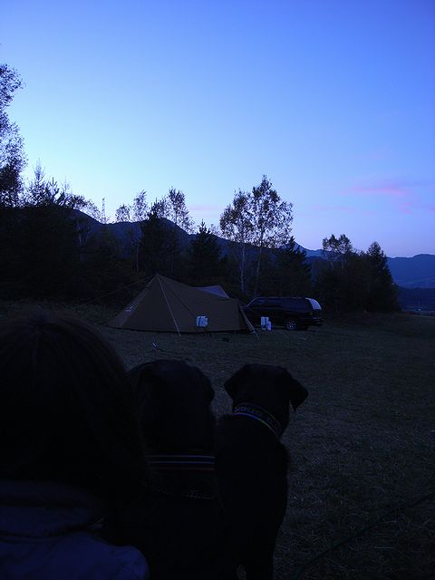 a0093592_08648.jpg