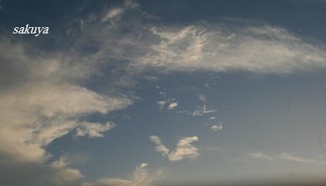 e0122194_2204165.jpg