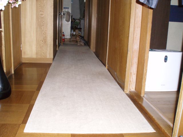 f0130894_2028475.jpg