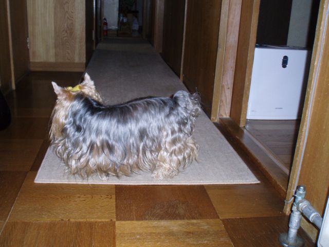 f0130894_20302160.jpg