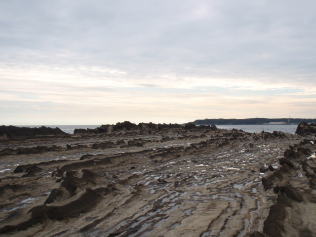 c0008598_184229100.jpg