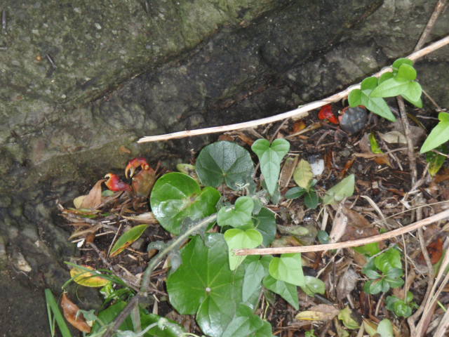 c0008598_1843861.jpg