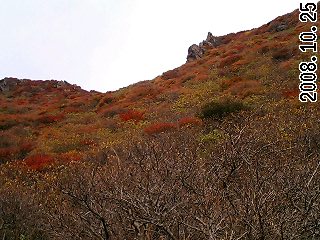 f0187402_2110484.jpg