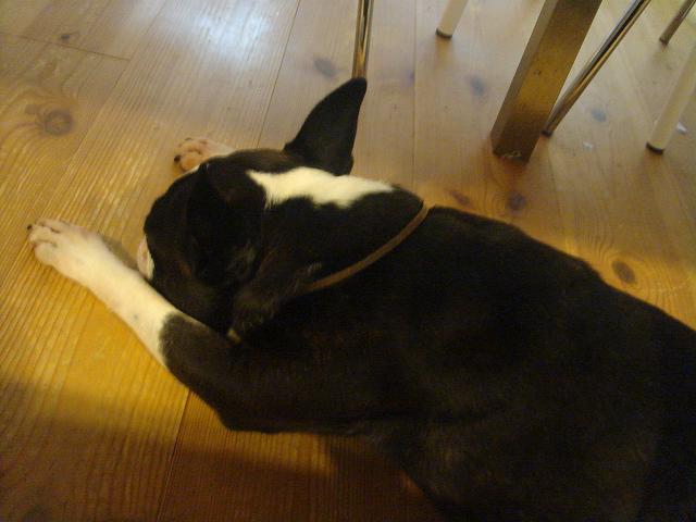 b0027203_0134927.jpg