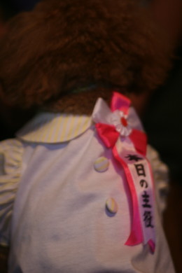 a0007906_18575123.jpg