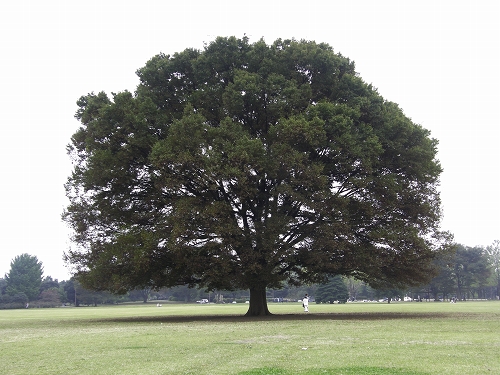 e0121110_21403592.jpg