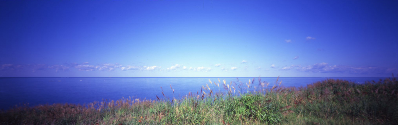 c0016712_2216496.jpg