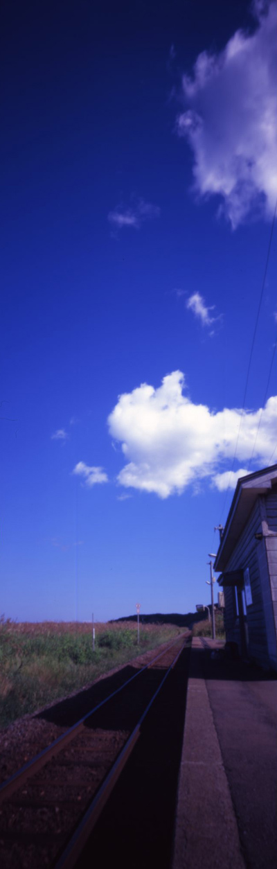 c0016712_2218953.jpg