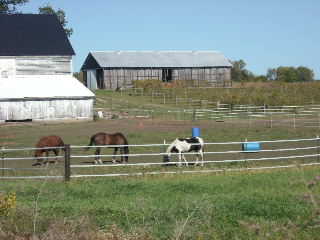b0144020_19325649.jpg