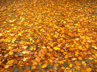 d0024220_20565542.jpg