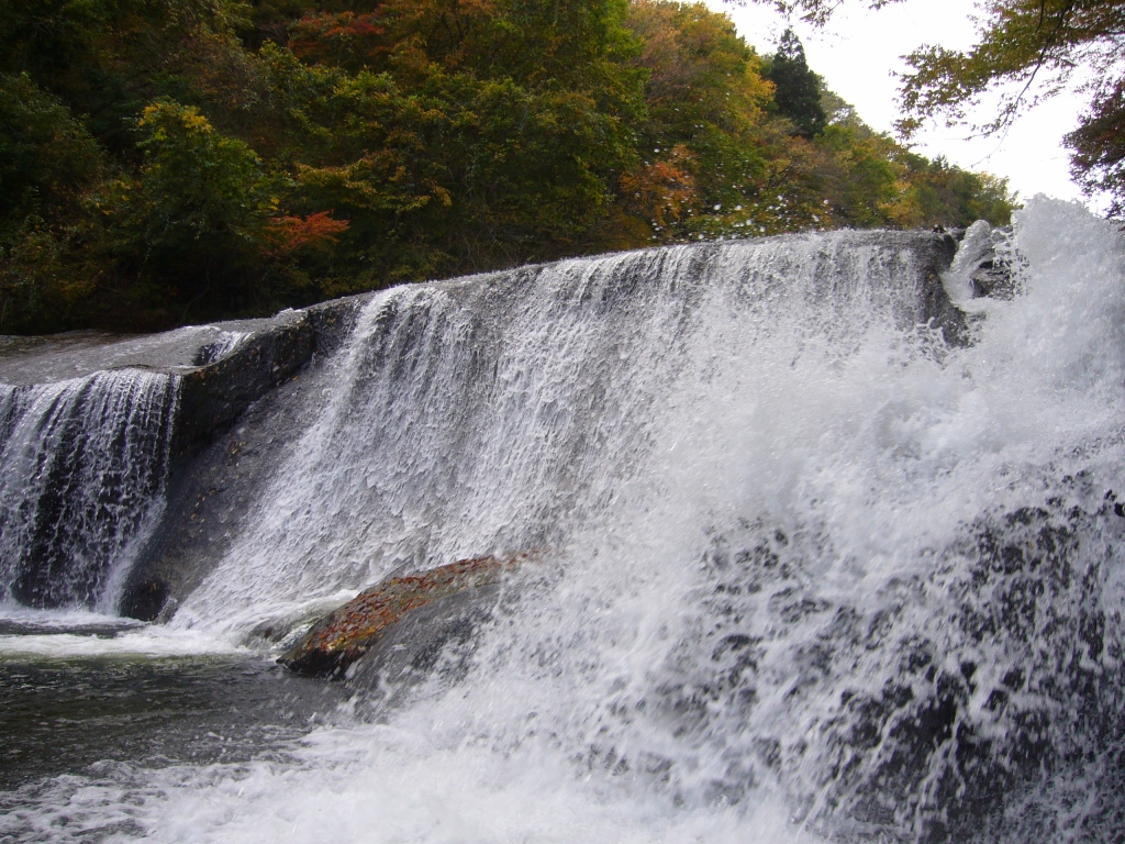 f0135021_20513878.jpg