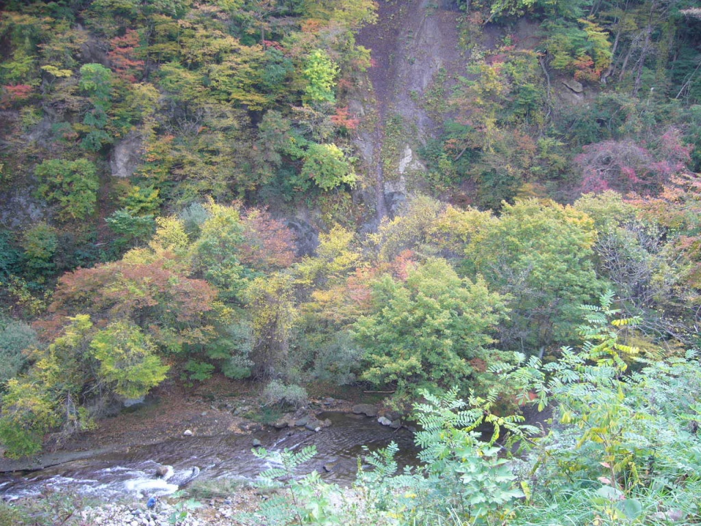 f0135021_2052387.jpg