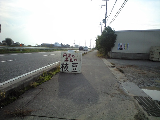 c0009224_8124535.jpg